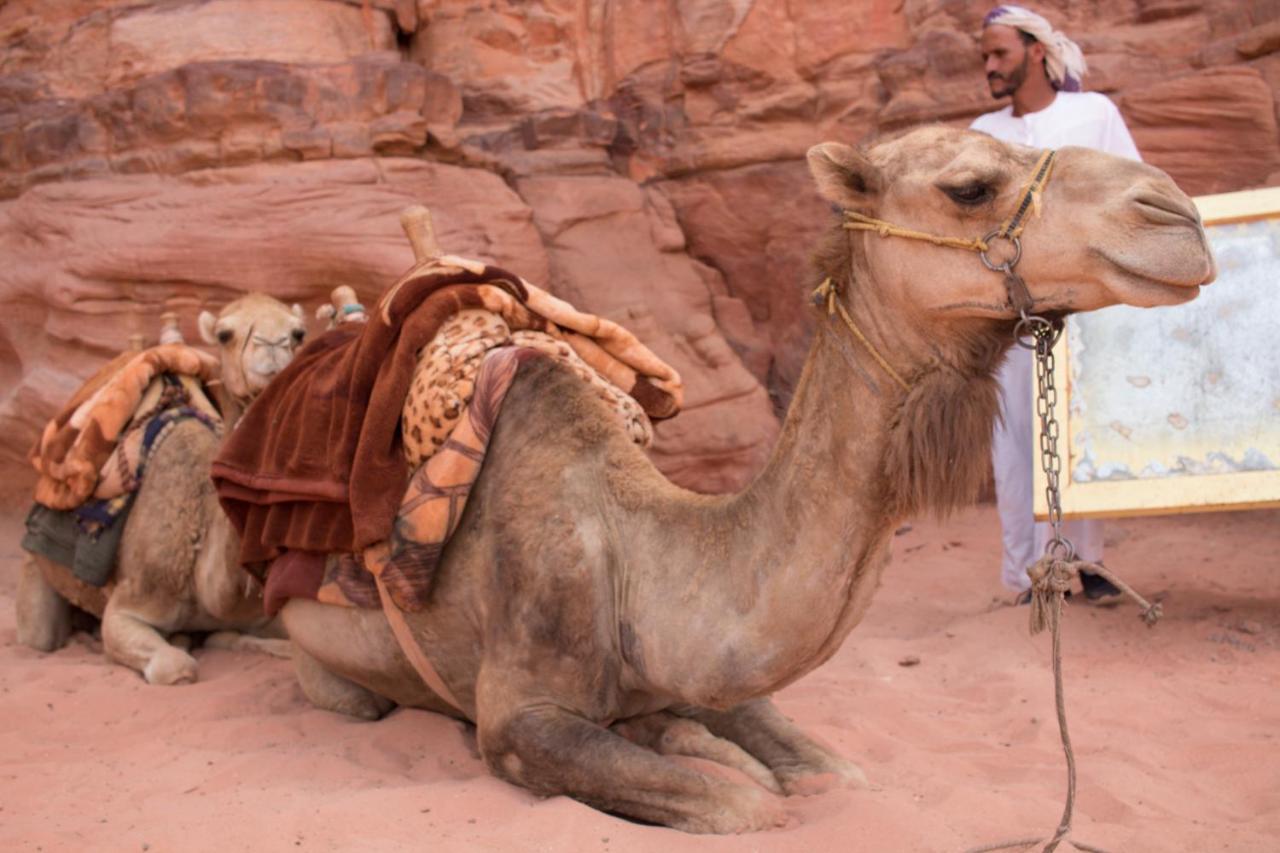 Wadi Rum Desert Home Esterno foto