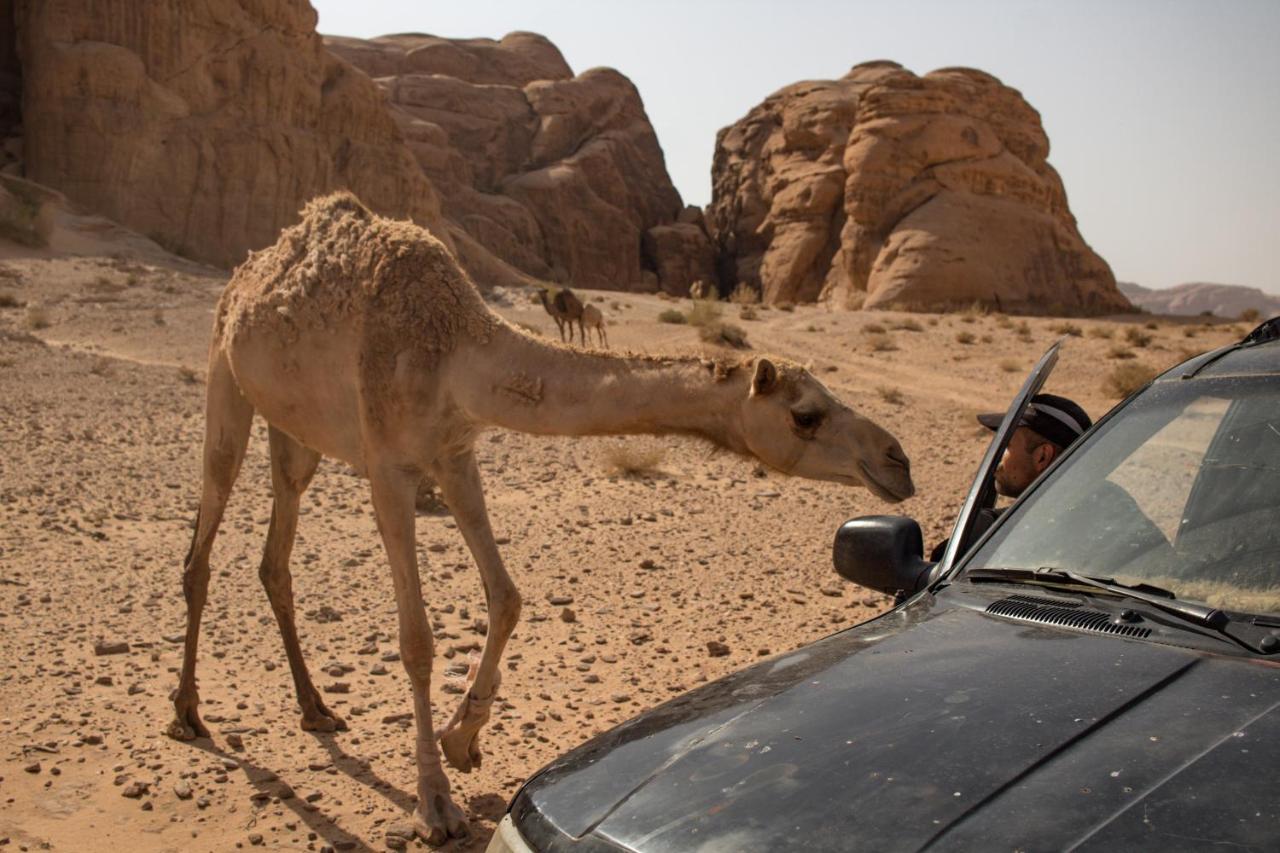 Wadi Rum Desert Home Esterno foto